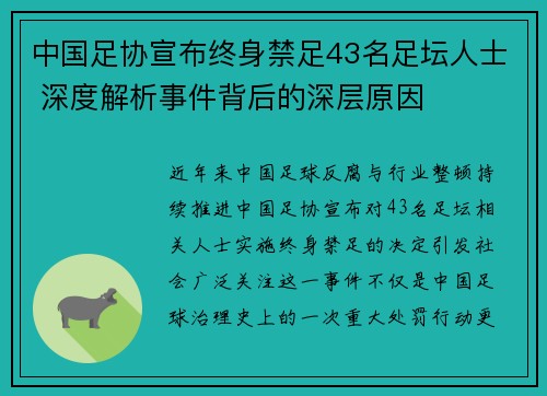 中国足协宣布终身禁足43名足坛人士 深度解析事件背后的深层原因
